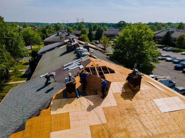 Best Storm Damage Roof Repair  in Manning, IA