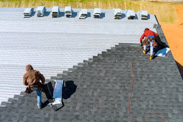 Best Roof Gutter Cleaning  in Manning, IA