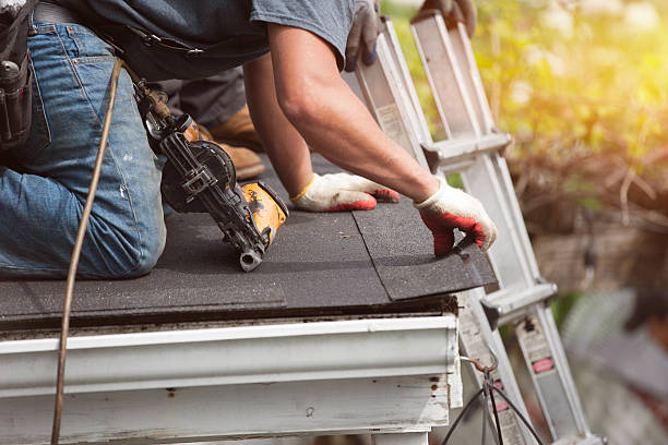 Best Roof Leak Repair  in Manning, IA