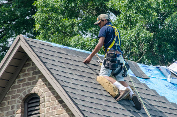 Best Flat Roof Repair Services  in Manning, IA